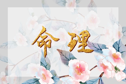 起名避讳字大全,取名字测名字,单名取名大全,起名测名大全,古诗文取名,八字企业起名